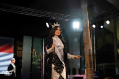 DSC03147-copy
